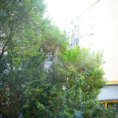 Luxhaven Venice *